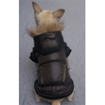 Chocolate Pup Coat Chocolate Pup Coat